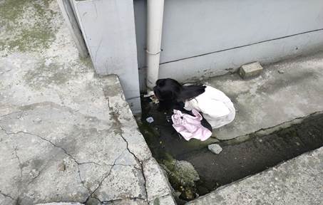 FAB4B5A527B46560F92746B4D4F09522